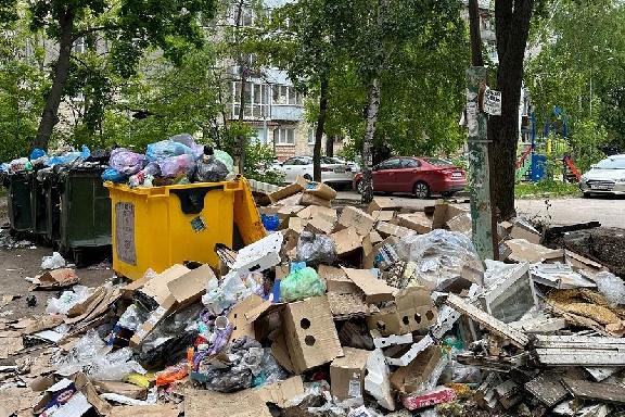 Проблема с вывозом мусора в Тамбове до сих пор не решена